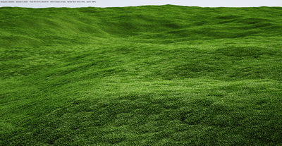 MultiScatter5 (1).jpg