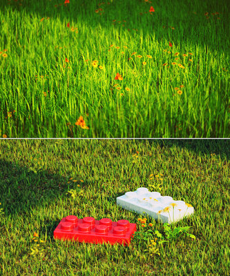 octane_rhino_grass