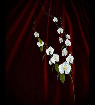 Branch_04.png