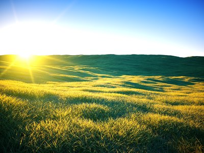 TheSteppe.jpg
