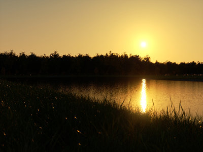 inst2_1_1600.jpg