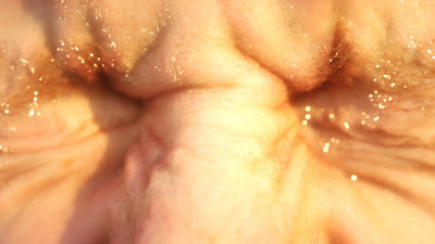 face-front.jpg