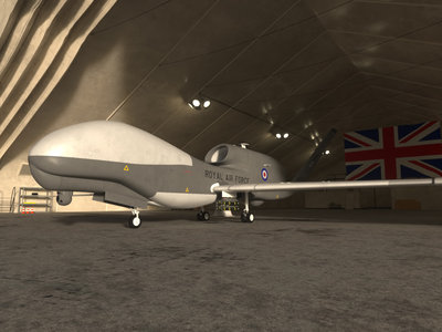 hawk1.jpg
