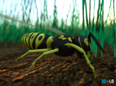 Yellow Jacket 1