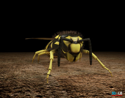 Yellow Jacket 3