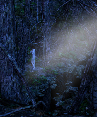 EnchantedForest_Tall_JPG.jpg