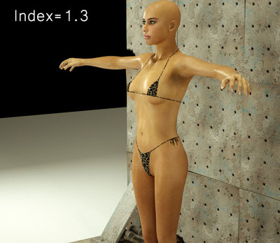 index13.jpg