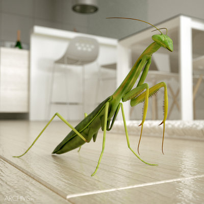 small apartment 11.jpg