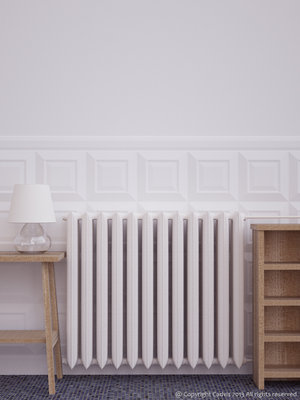 Radiator 000.jpg
