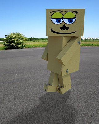 010.JPG