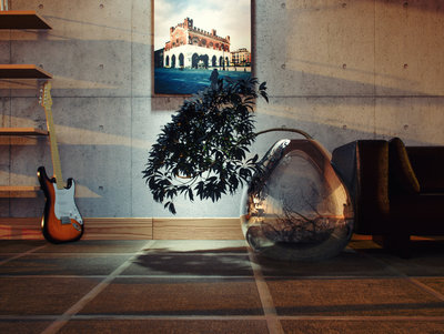 HDRI, AO mode