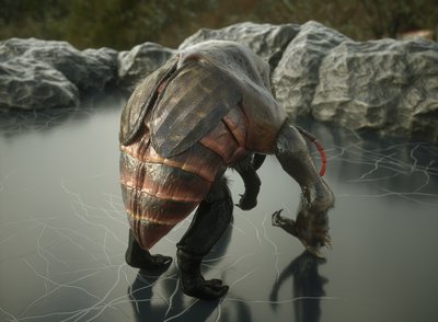 render3.JPG