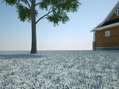GrassTexture.jpg
