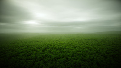 CloudForest.jpg