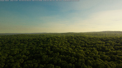 CloudForest4.jpg