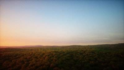 CloudForest6.jpg