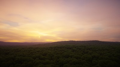 CloudForest9.jpg