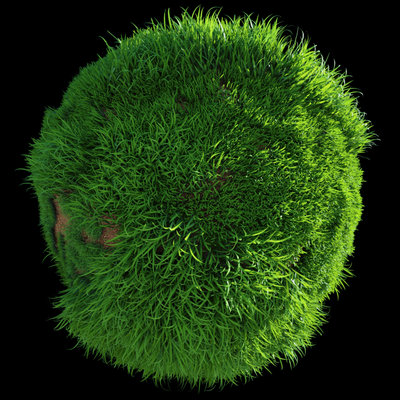 Grass.jpg