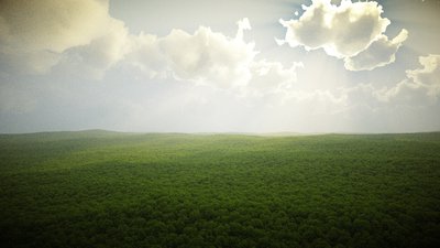CloudForest13.jpg