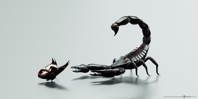 contrast_4.png