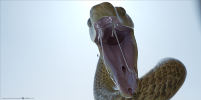snake_1.png