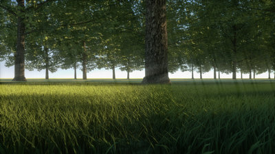 Foresta_Octane.jpg