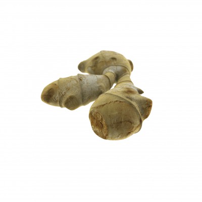 ginger_test_v01.jpg