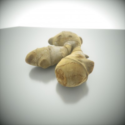 ginger_test_v02.jpg