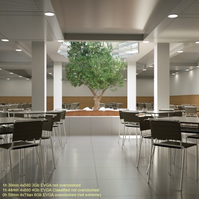 the_tree.jpg