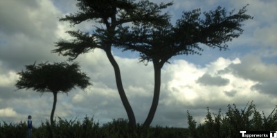 Tapperworks-Africa-02.jpg