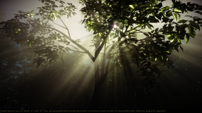r-tree-fog_0002.png