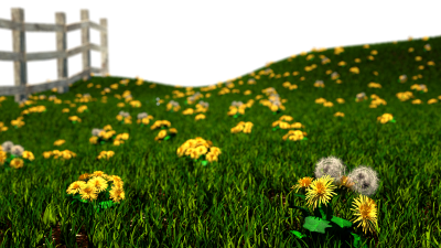 field07.png