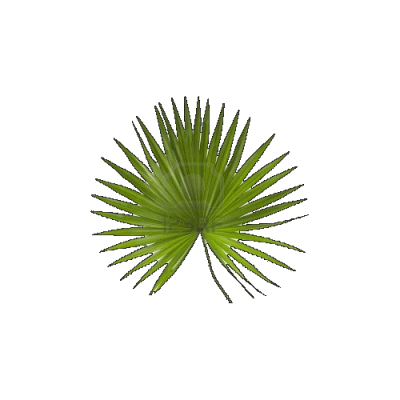 Untitled-1.png