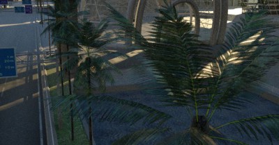 palm-octane.JPG