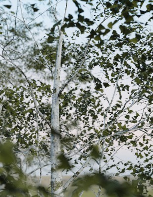 057.jpg