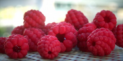 rasp.jpg