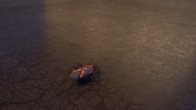 BUG.jpg