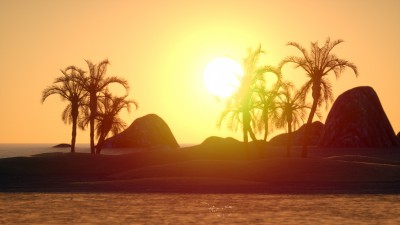 PalmTreeSundownWeb.jpg
