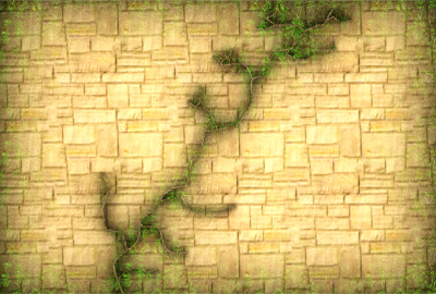 the final image