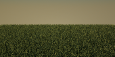 GrassFirst.png