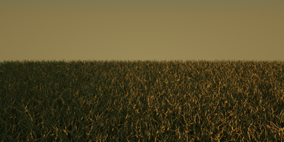 GrassSecond.png