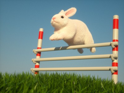 octane-rabbit13.jpg