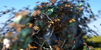 TreeStump1.png