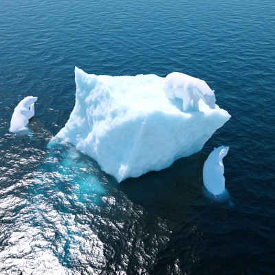Polar bears enjoying your iceburg
