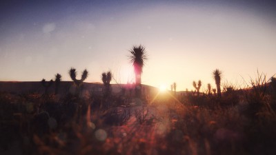Sunset - Rendered in real-time
