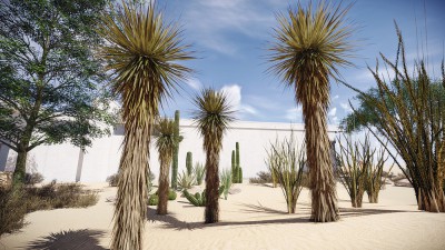 Yucca Real-Time