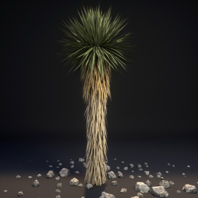 Yucca Octane
