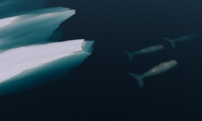 moby.jpg