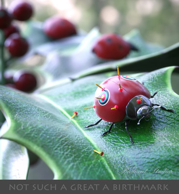 LadyBug_BirthMark_II_JPG.jpg