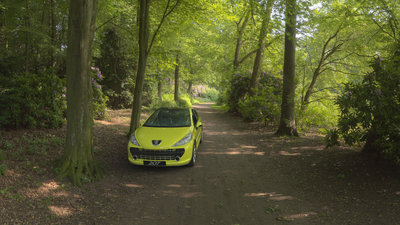 forest_composite.jpg